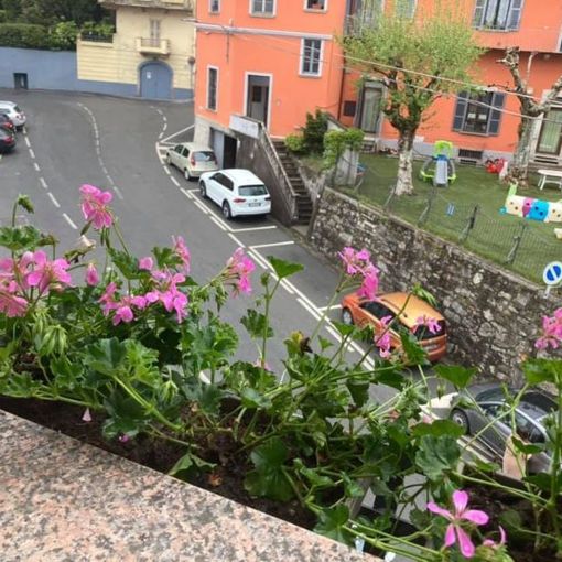 Casale in Rosa per il 104° Giro d'Italia