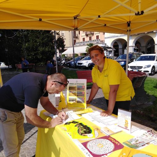 Un successo il mercato di Campagna Amica a Verbania