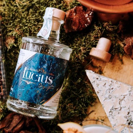 È piemontese il primo gin al Gorgonzola