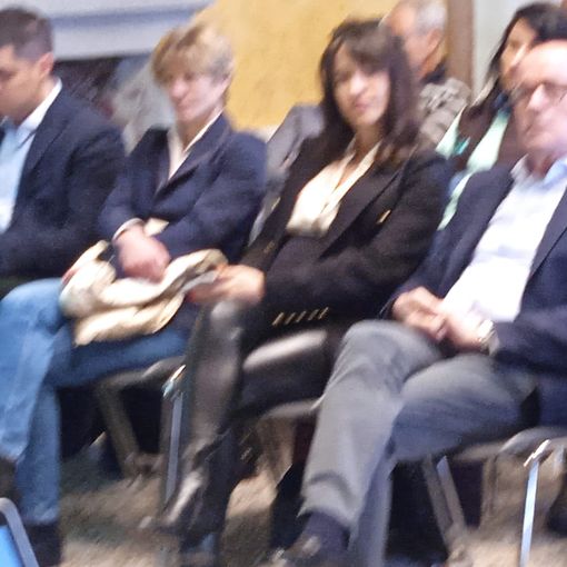 L'ingresso di Verbania nel Parco Valgrande al centro del convegno di Centro Riformista