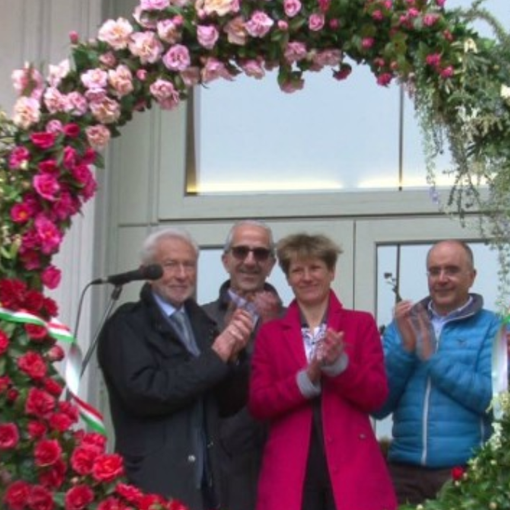 Il Covid ferma la Mostra della Camelia a Verbania