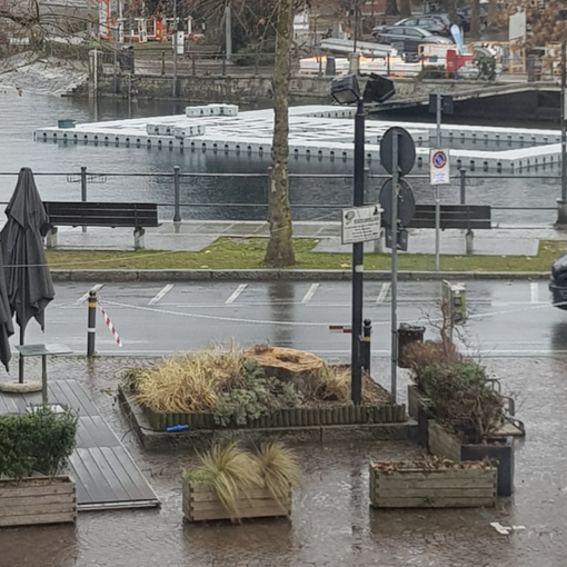 Omegna, tagliato l'ippocastano di piazza Salera