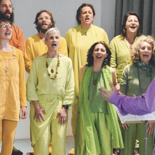 Avap celebra la giornata mondiale della salute mentale con il concerto del Coro Goccia di Voci