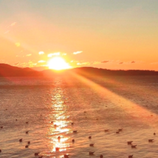 &quot;Omaggio al sole&quot;: un concerto all'alba sul lago con la violinista Silvia Arfacchia