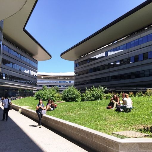 Global Law and Transnational Legal Studies: un corso di laurea innovativo all'Università di Torino
