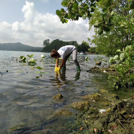 Inquinamento, laghi d'Orta e Maggiore con alcune criticità