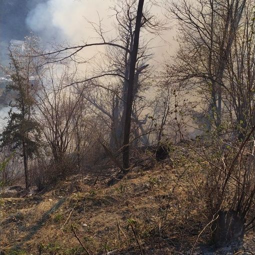 Bosco in fiamme in Valle Cannobina