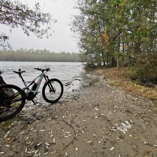 In e-Bike nel Vco: dalla riserva naturale di Fondotoce a Ornavasso lungo il fiume