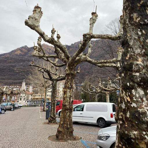 Omegna si fa più bella per ospitare la delegazione di Pornic