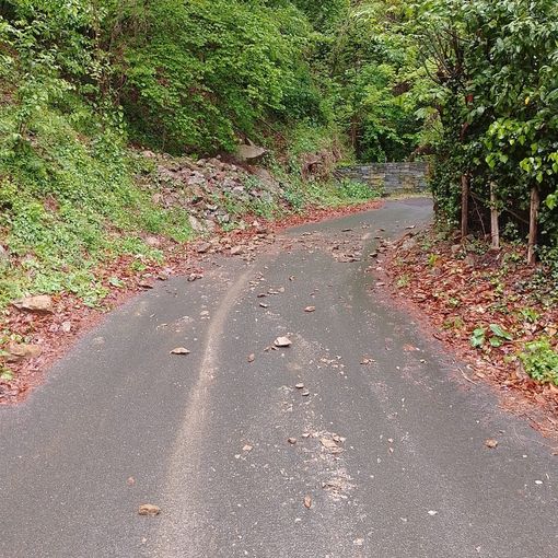 Agrano, frana sulla strada per l'Alpe selviana