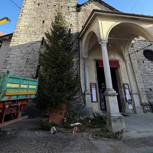 Fervono i preparativi per l'albero di Natale in piazza Beltrami FOTO