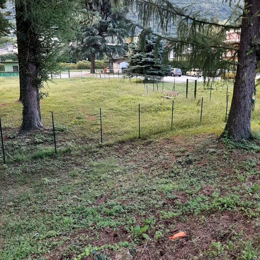 Il &quot;Giardino di Fido&quot; a Crusinallo: un'area di sgambamento cani in attesa di essere aperta