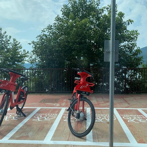 Foto: la ciclabile che da Suna conduce a Fondotoce.