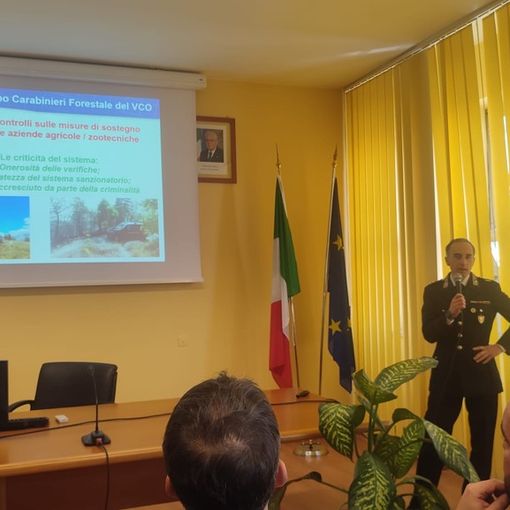 Carabinieri forestali, nel Vco in aumento i controlli sulle misure di sostegno alle aziende agricole
