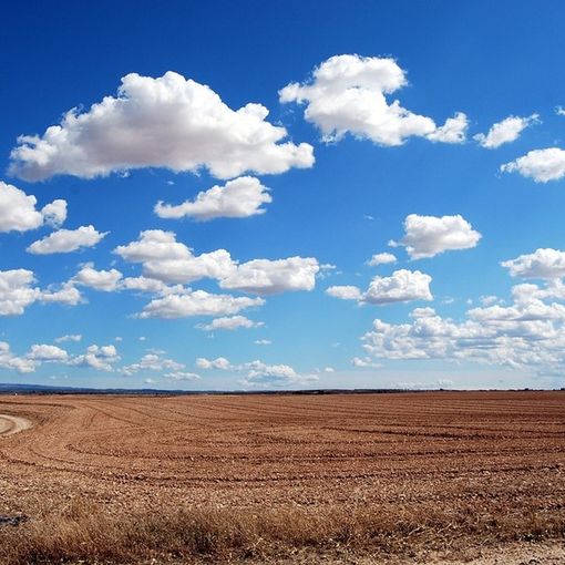 Bandi per interventi agro-climatico-ambientali, agricoltura biologica e benessere animale: prorogata la scadenza