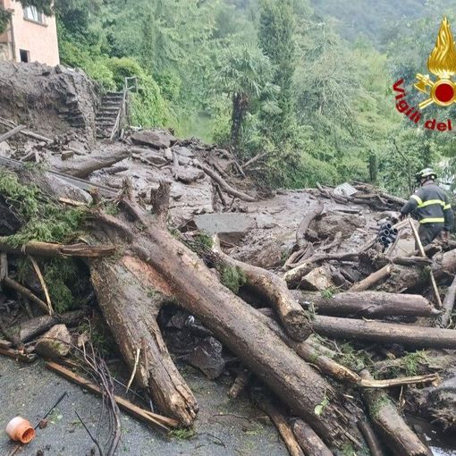 Traffiume, al via il disboscamento