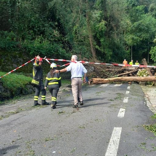Cannobio: primo sopralluogo geologico dopo la frana di Traffiume FOTO