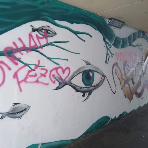 Svastiche e scritte sui muri di Verbania: un lettore scrive a VcoNews