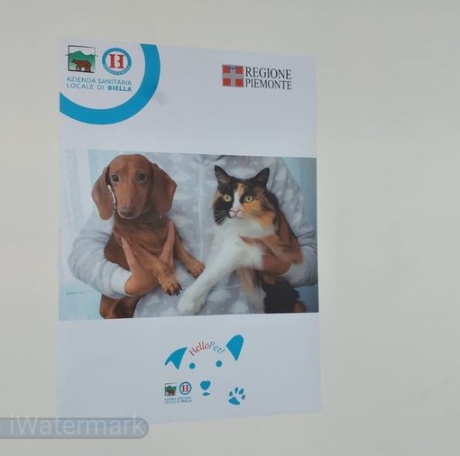 Via libera agli animali d'affezione in ospedale con il progetto Hello Pet!