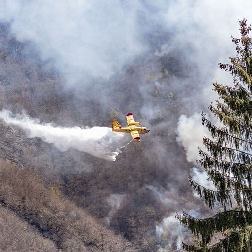 Continuano a bruciare i boschi in Cannobina FOTO E VIDEO