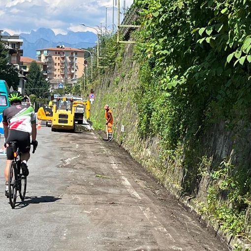 Pulizia del verde, iniziati i lavori in via Novara
