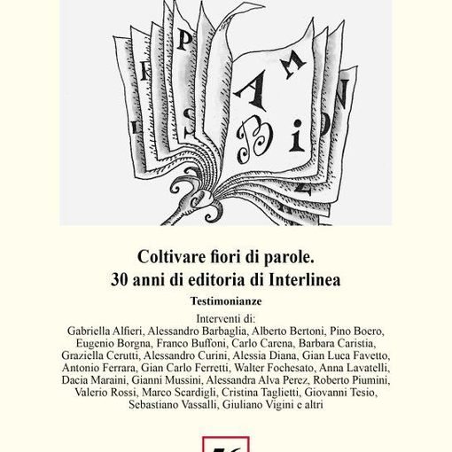 Microprovincia di Stresa è finita sulle pagine culturali del Sole 24 Ore