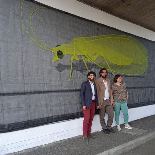 Inaugurato il murales di Hilario Isola nella prima giornata di Editoria e Giardini FOTO