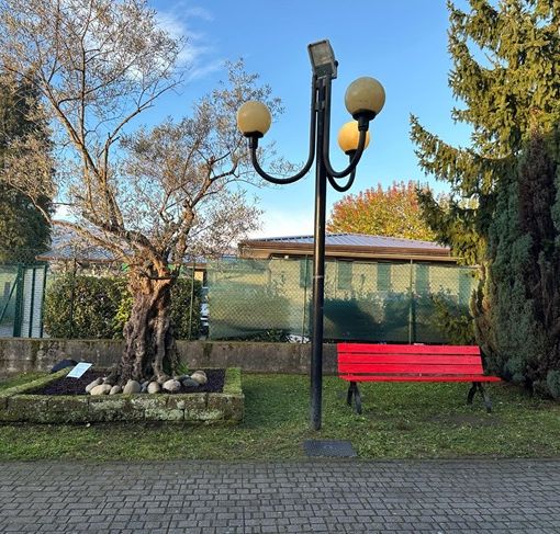 Il liceo Cavalieri inaugura una panchina rossa contro la violenza sulle donne
