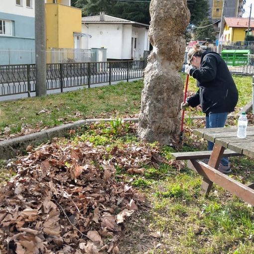 Il nuovo consiglio di quartiere di Crusinallo ha pulito il parco della Dogna