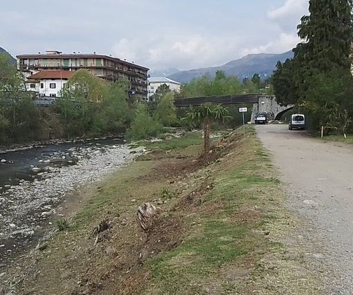 Vandalizzati i nuovi alberi al parco fluviale della Foce del San Giovanni