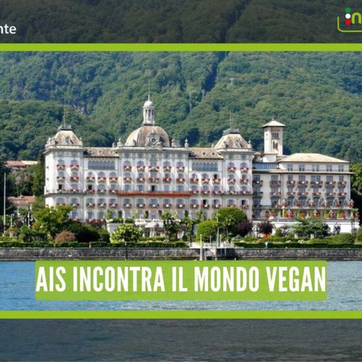 Vino Vegan: sul Lago Maggiore prima edizione dell'evento dedicato ai vini vegani