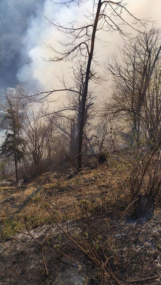 Bosco in fiamme in Valle Cannobina