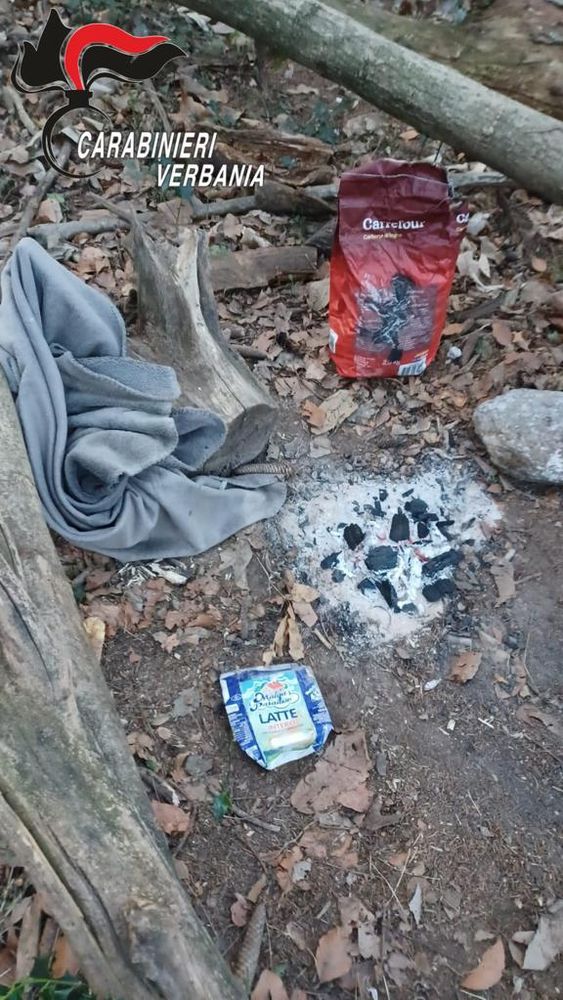 Spaccio nei boschi sopra Stresa: blitz delle forze dell'ordine nel “bazar della droga” Spaccio nei boschi sopra Stresa: blitz delle forze dell'ordine nel “bazar della droga”