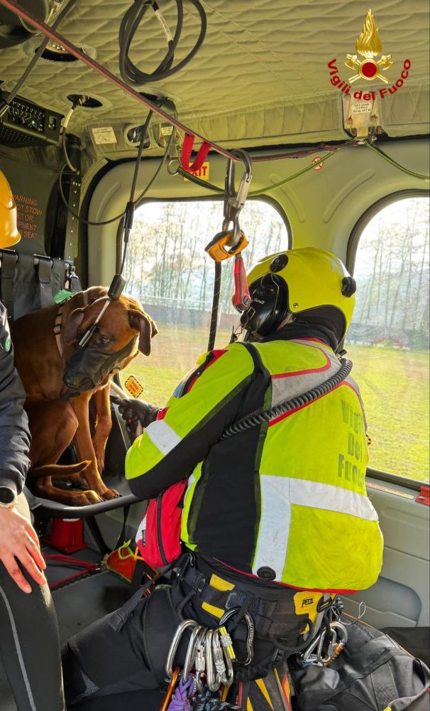 Donna bloccata al Mottarone con il suo cane, soccorsa dai vigili del fuoco Donna bloccata al Mottarone con il suo cane, soccorsa dai vigili del fuoco