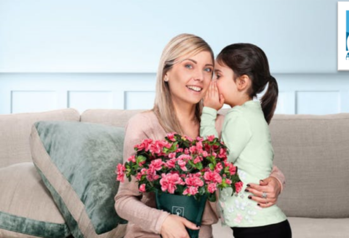 Nelle piazze del Vco l'azalea della ricerca di Airc