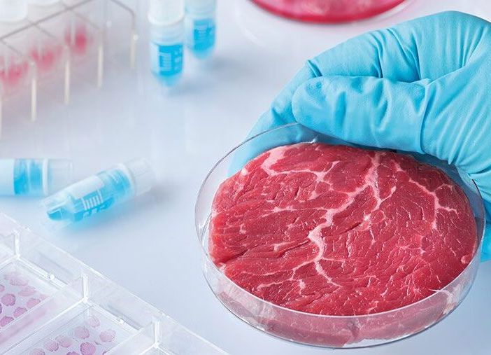 Carne artificiale, Coldiretti Piemonte: &quot;Europa sempre più diffidente, flop negli Usa&quot;