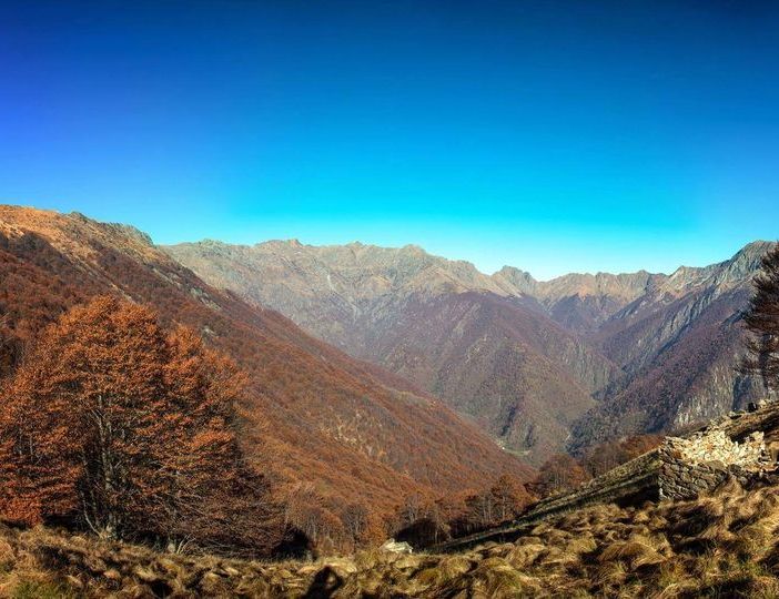 Autunno anomalo: non cadono le foglie dagli alberi e pungono le zanzare