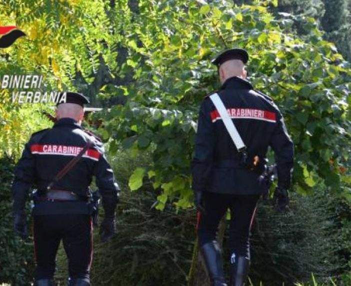 Spaccio nei boschi della bassa Ossola, un arresto