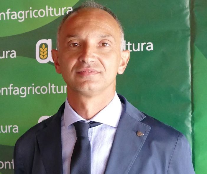 Peste Suina, Confagricoltura segnala alla Regione speculazioni sul mercato dei suini