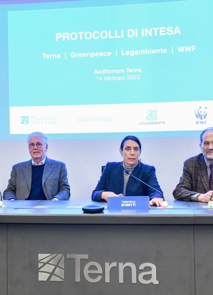 Terna: infrastrutture elettriche più sostenibili grazie all'intesa con Greenpeace, Legambiente e Wwf