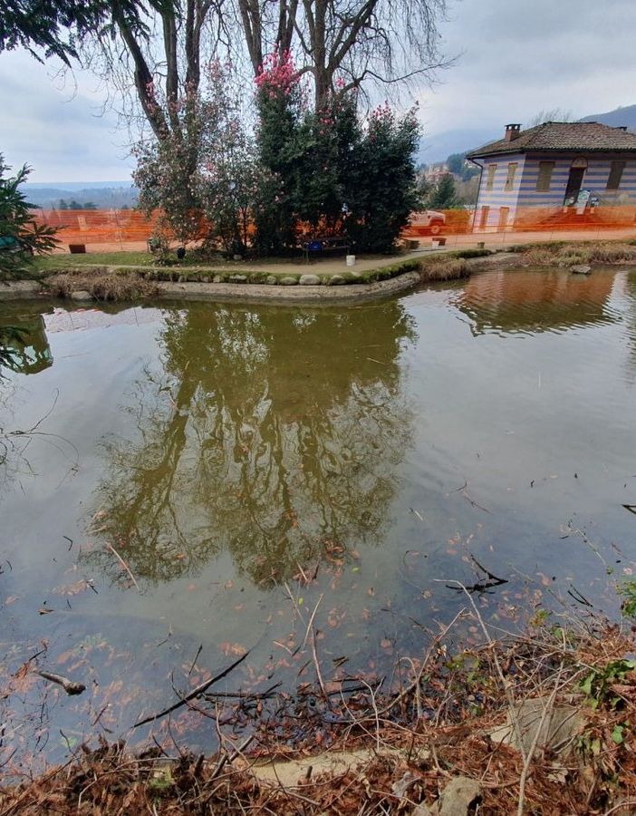 Interventi di riqualificazione per il centro recupero tartarughe invasive