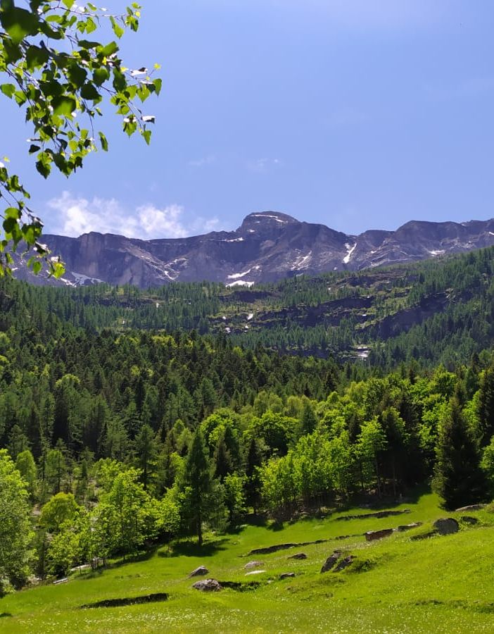 Uncem: dieci proposte per la valorizzazione dei territori montani