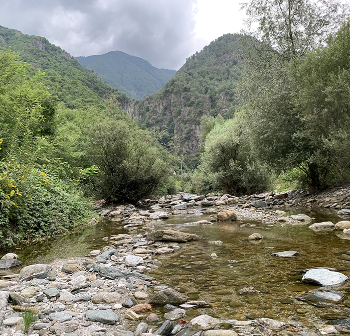 Siccità, Coldiretti Piemonte: &quot;SOS per le semine primaverili&quot;