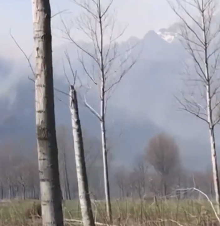 Incendio alle porte di Ornavasso VIDEO