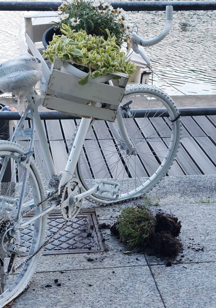 Ancora un atto vandalico a Omegna