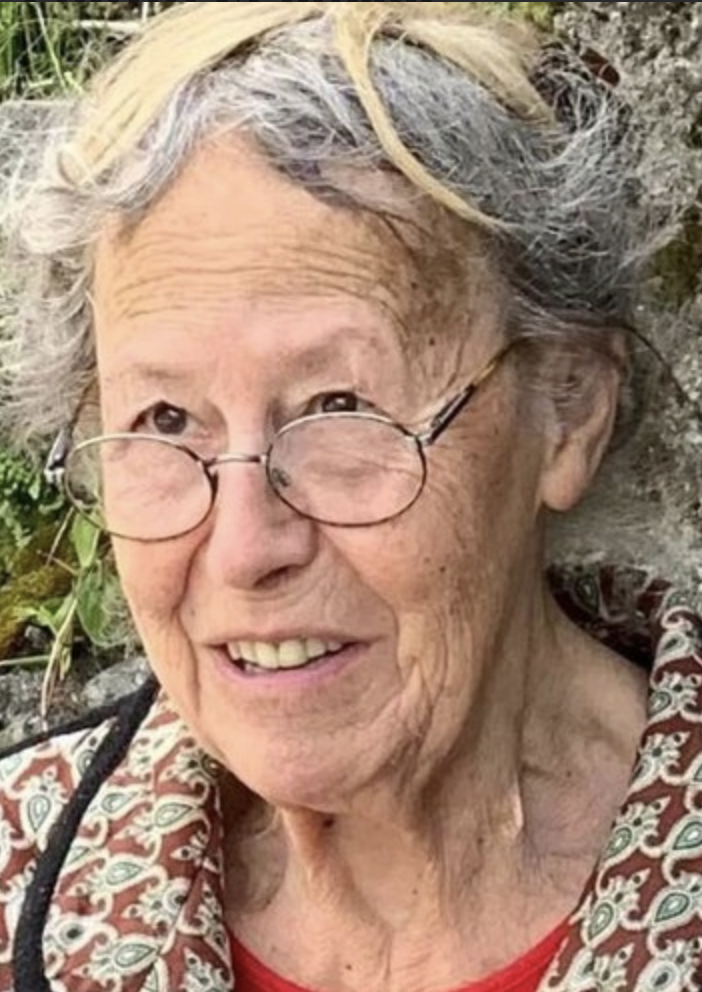 Scomparsa da casa da due giorni, in Canton Ticino si cerca Marianne Bruengger