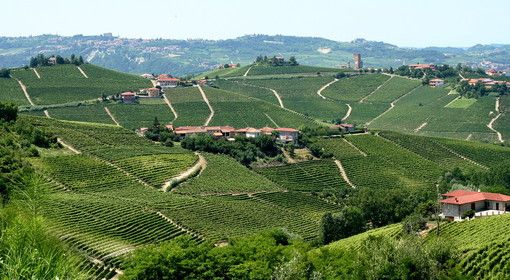 Un sondaggio nazionale rivela che il piemontese è tra i dialetti meno apprezzati in Italia