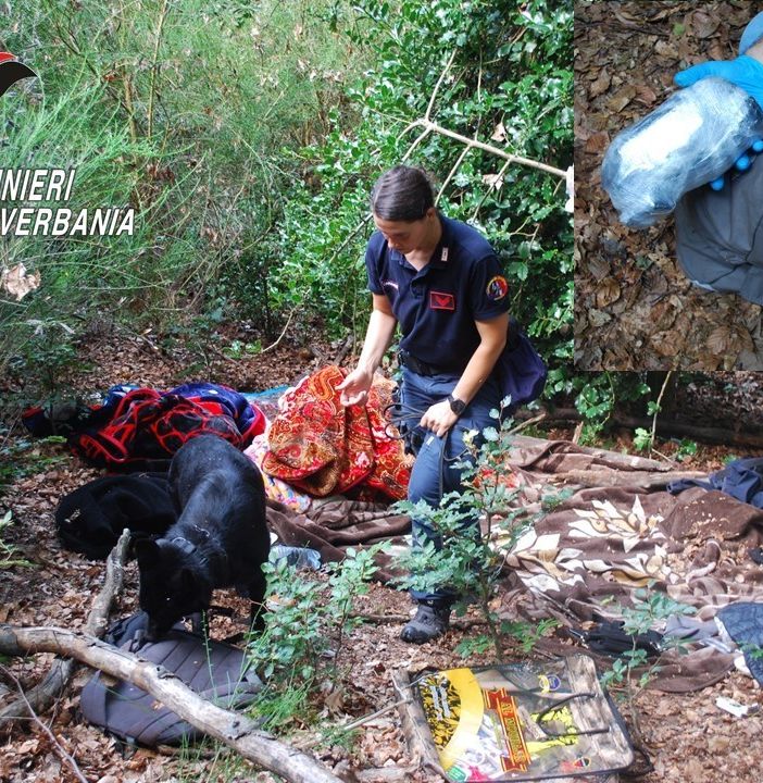 Blitz nei boschi di Carpugnino, arrestati due spacciatori VIDEO