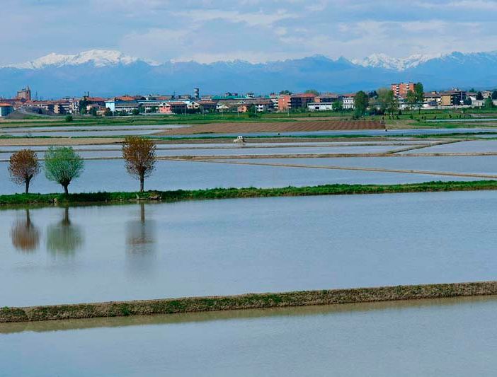 Il clima pazzo penalizza le coltivazioni piemontesi, ma il colpo di grazia arriva dall'inflazione