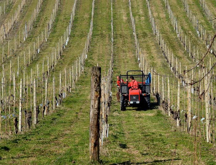 Imprenditoria giovanile, Coldiretti Piemonte: &quot;Servono semplificazioni per l'accesso alla terra&quot;